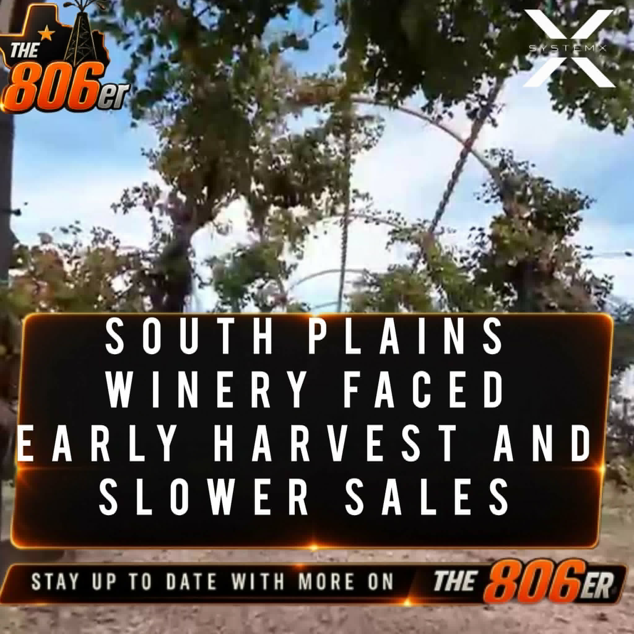 South Plains Winery Faced Early Harvest and Slower Sales