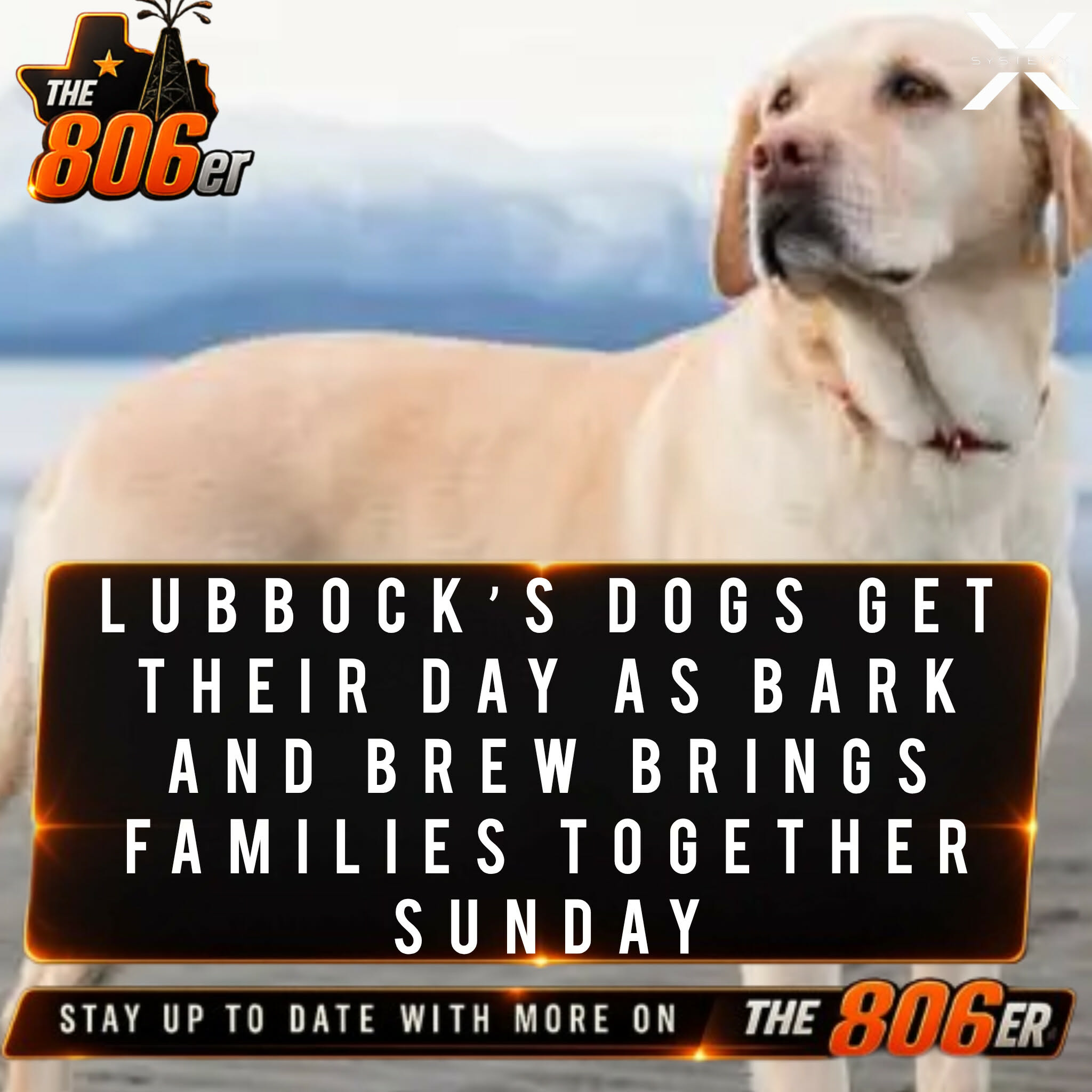 LUBBOCK’S DOGS GET THEIR DAY AS BARK AND BREW BRINGS FAMILIES TOGETHER SUNDAY
