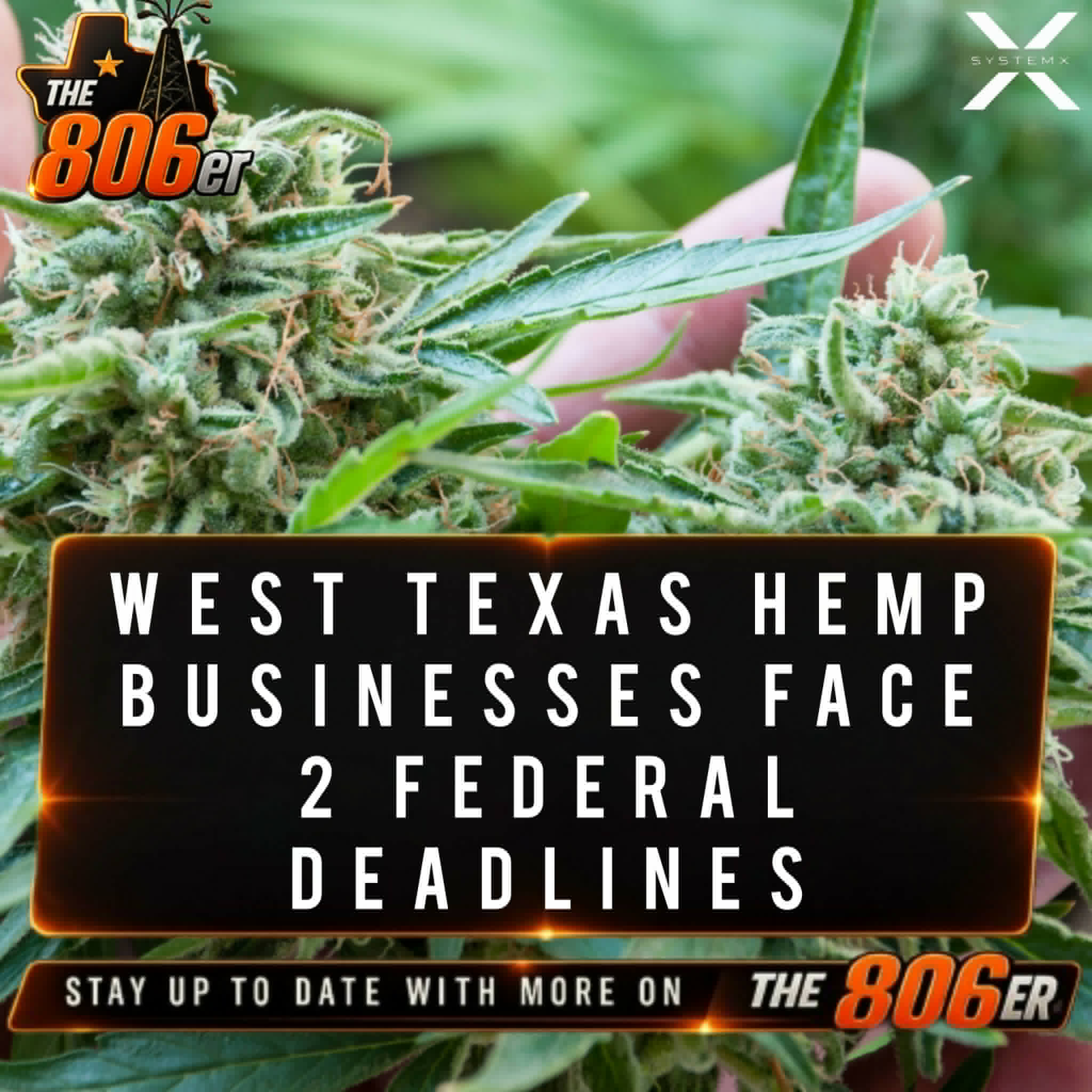 WEST TEXAS HEMP BUSINESSES FACE 2 FEDERAL DEADLINES